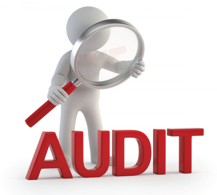 Audit et Conseil IA